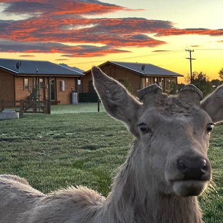 Willa Deerbrooke Kaikoura Chalets - Chalet 2 Zewnętrze zdjęcie