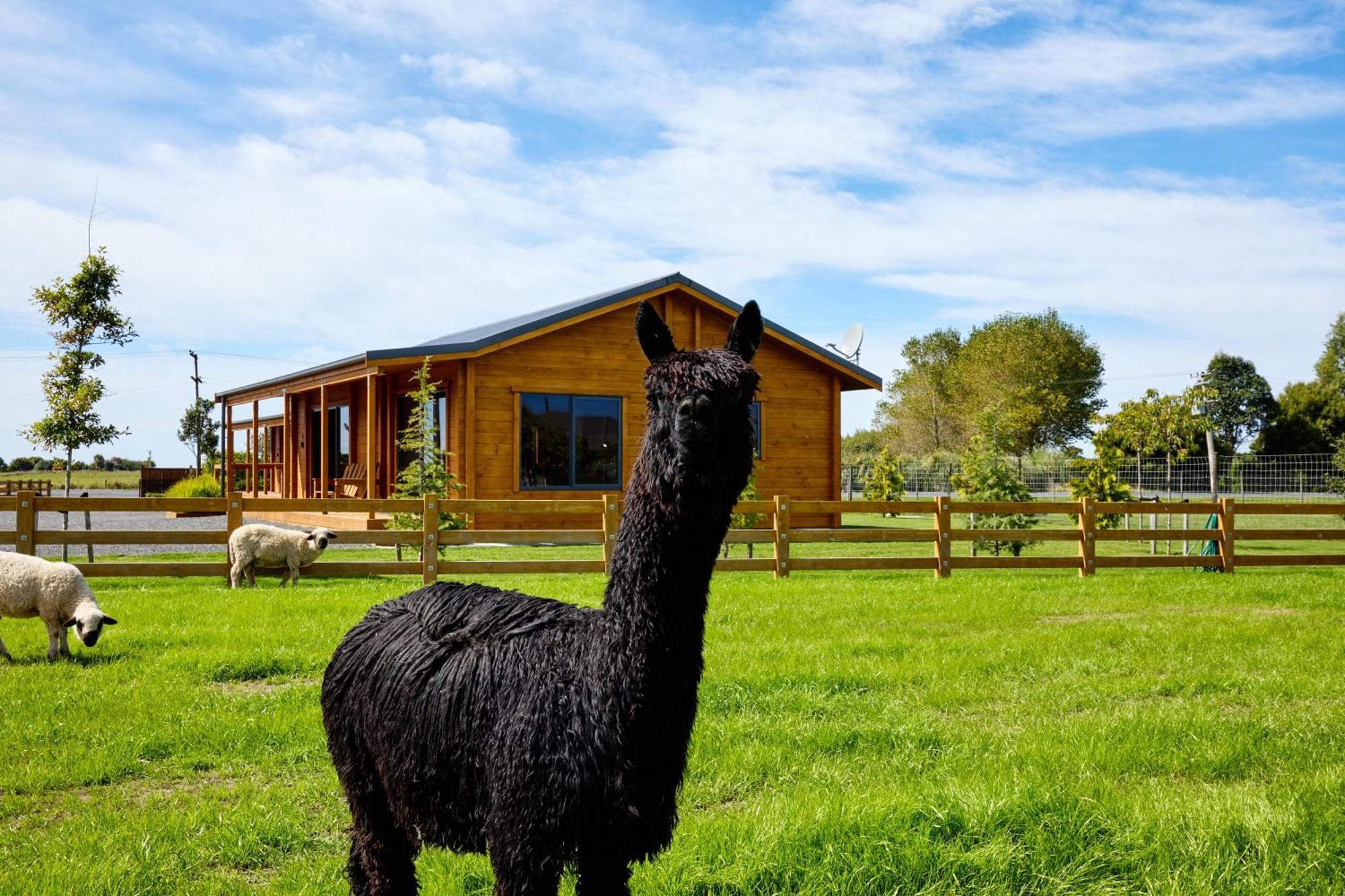 Deerbrooke Kaikoura Chalets - Chalet 2 Zewnętrze zdjęcie