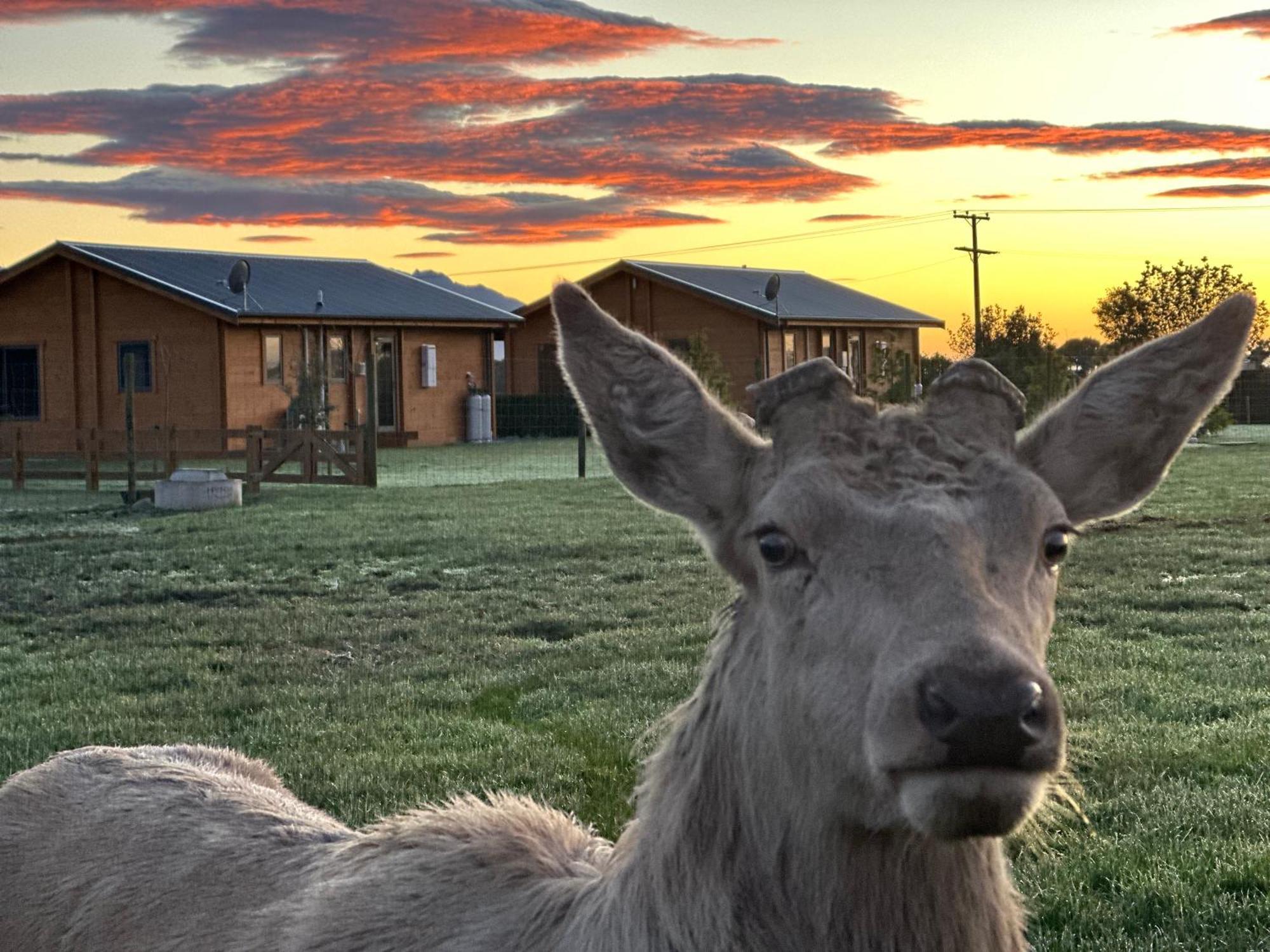 Deerbrooke Kaikoura Chalets - Chalet 2 Zewnętrze zdjęcie